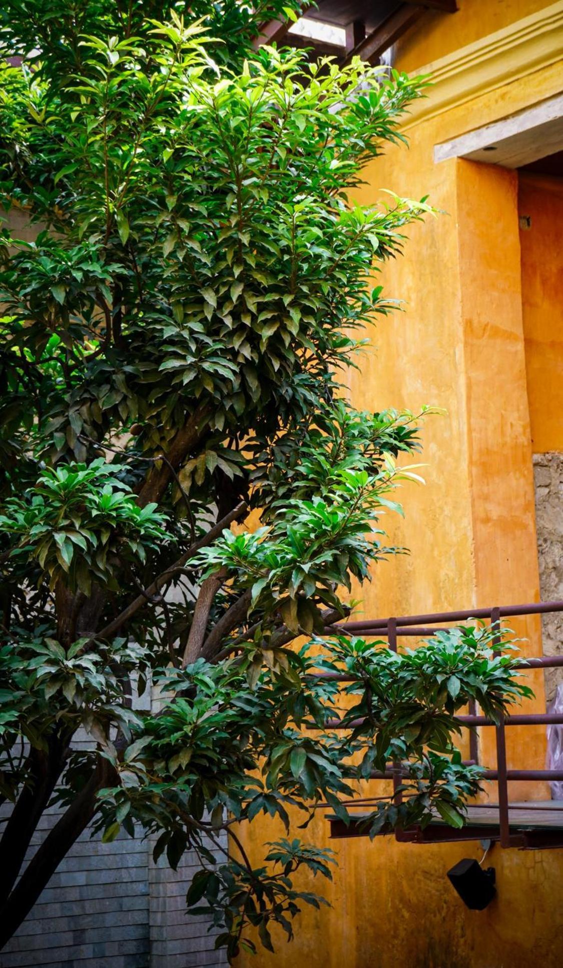 Casa Carolina Luxury Wellness 5* Cartagena