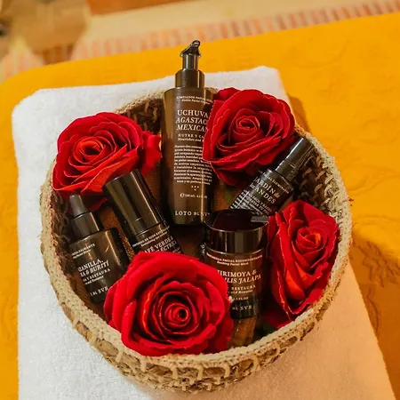Casa Carolina Luxury Wellness Cartagena